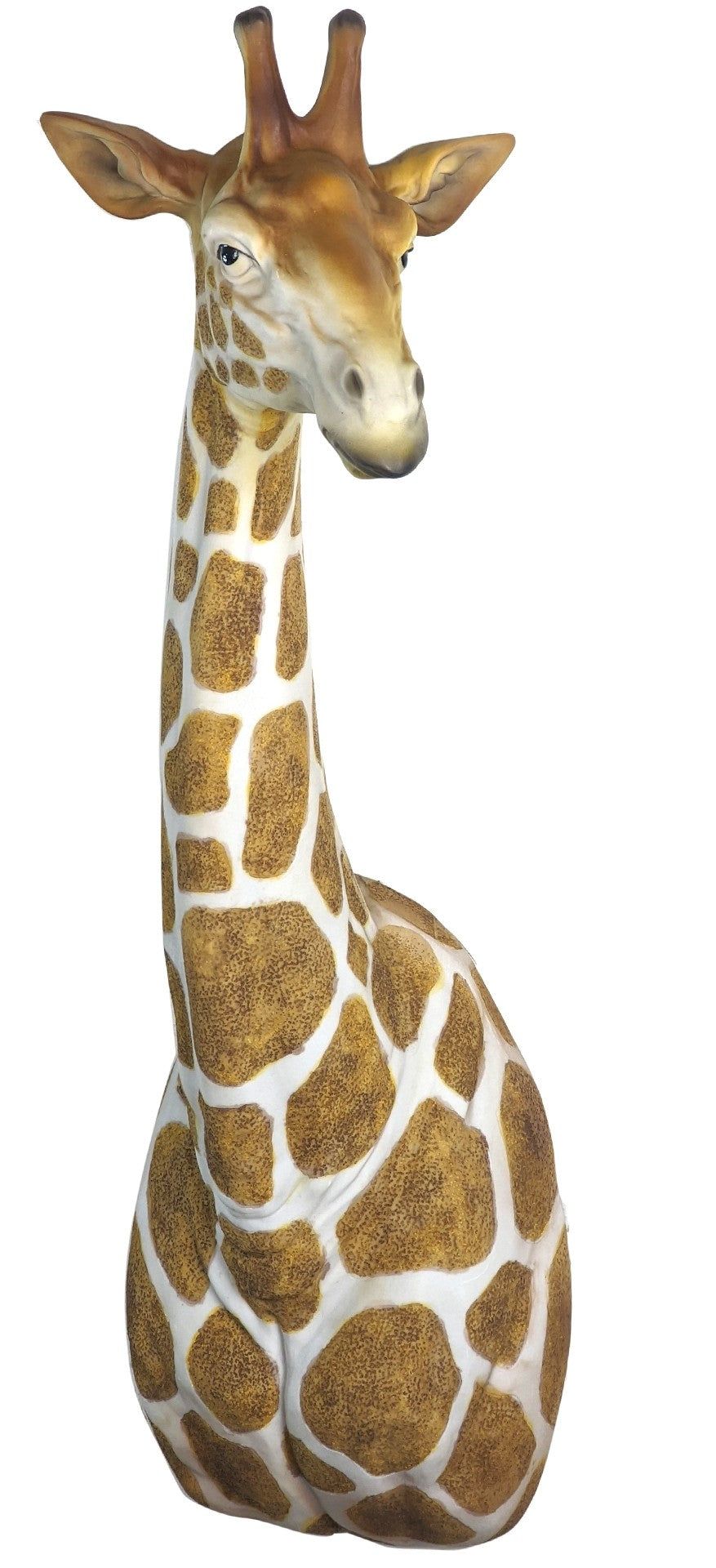 Giraffe Head and Neck