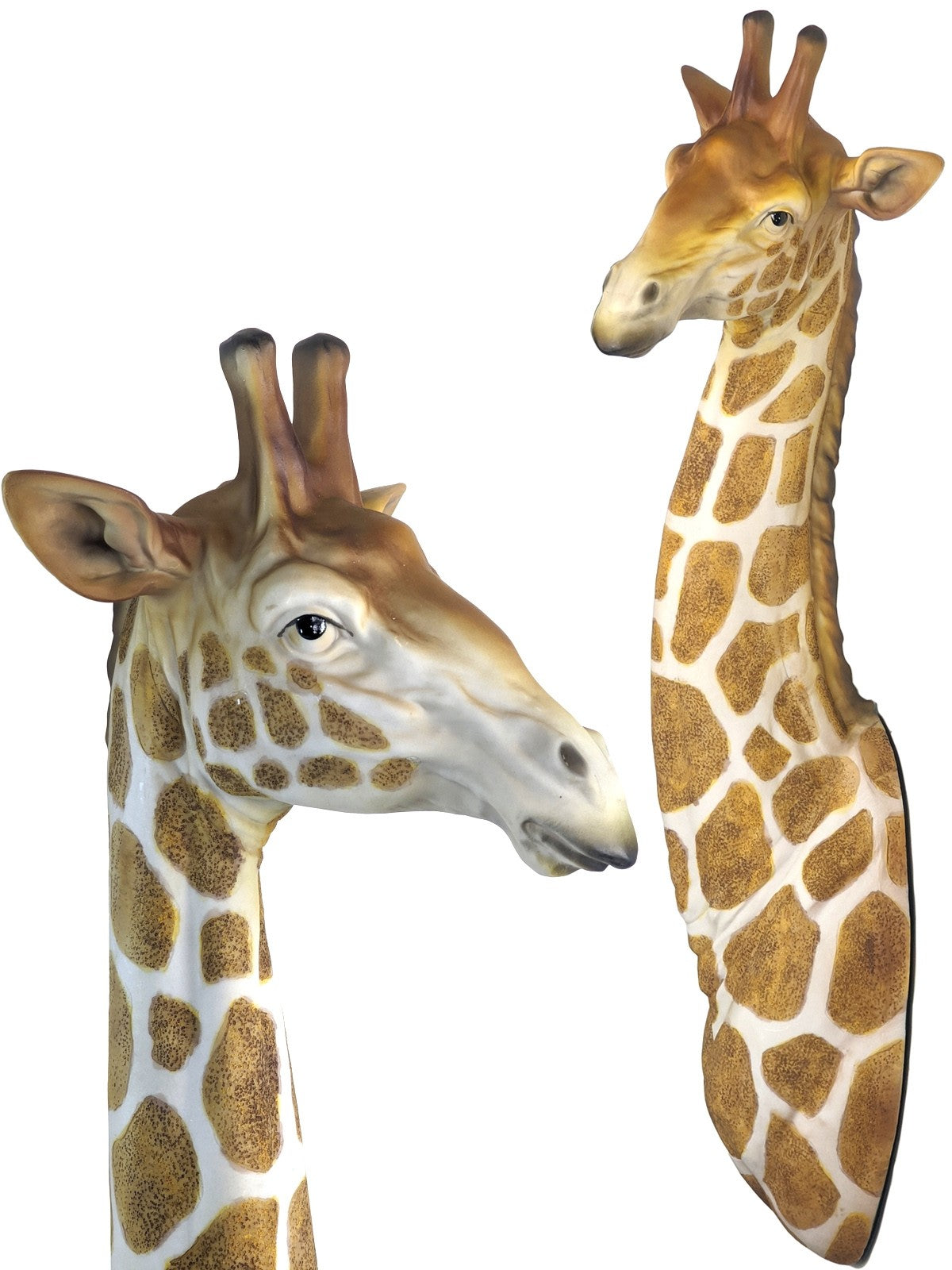 Giraffe Head and Neck