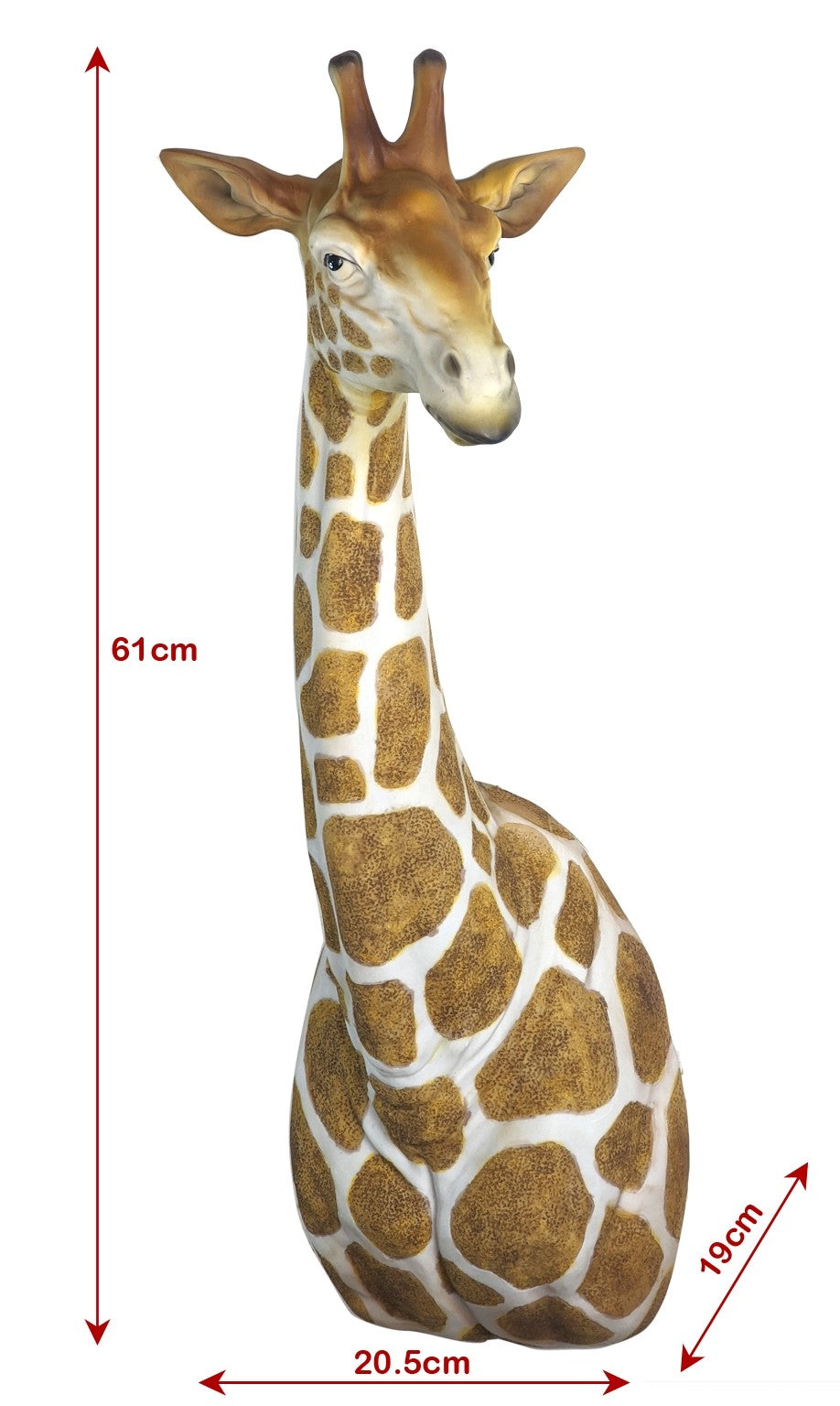 Giraffe Head and Neck
