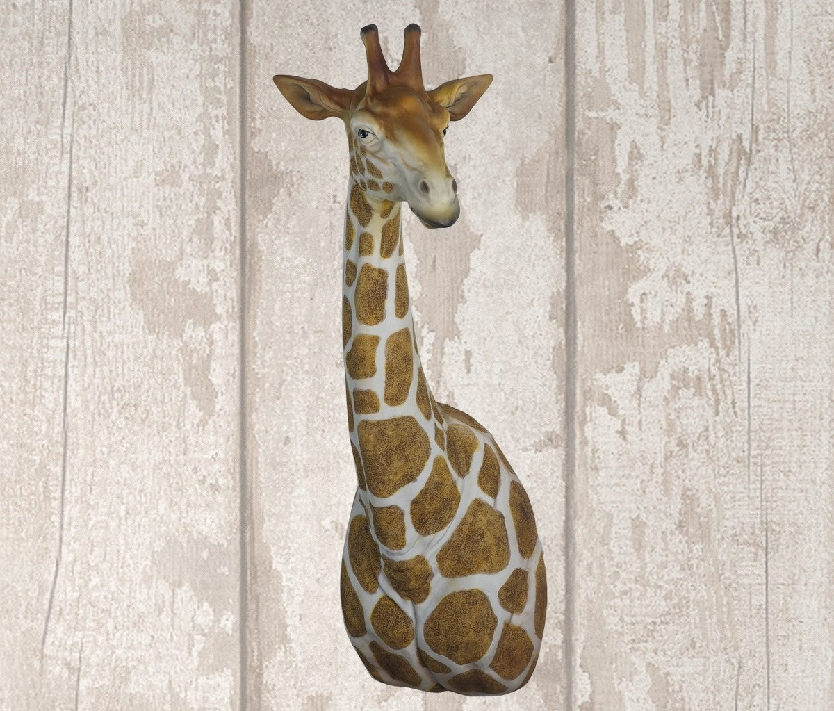 Giraffe Head and Neck
