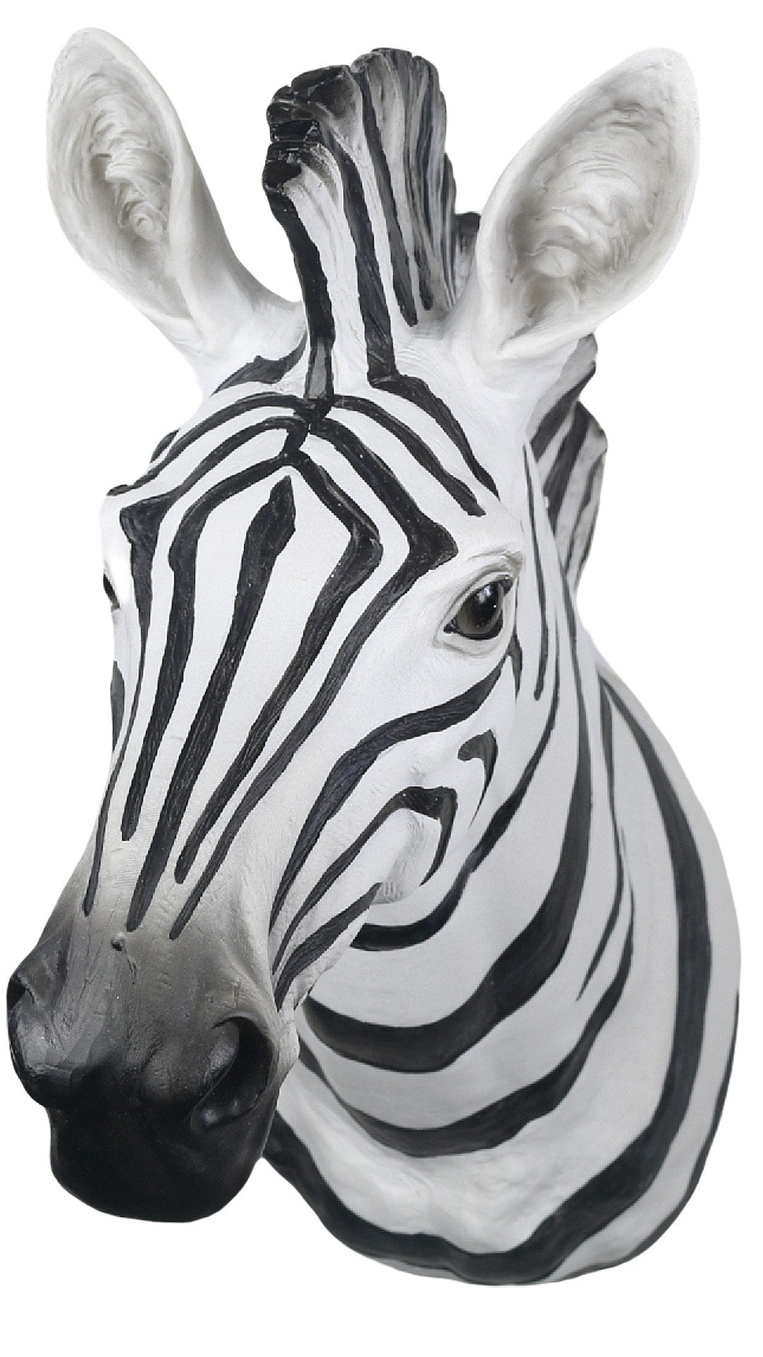 Black and White Zebra Wall Head