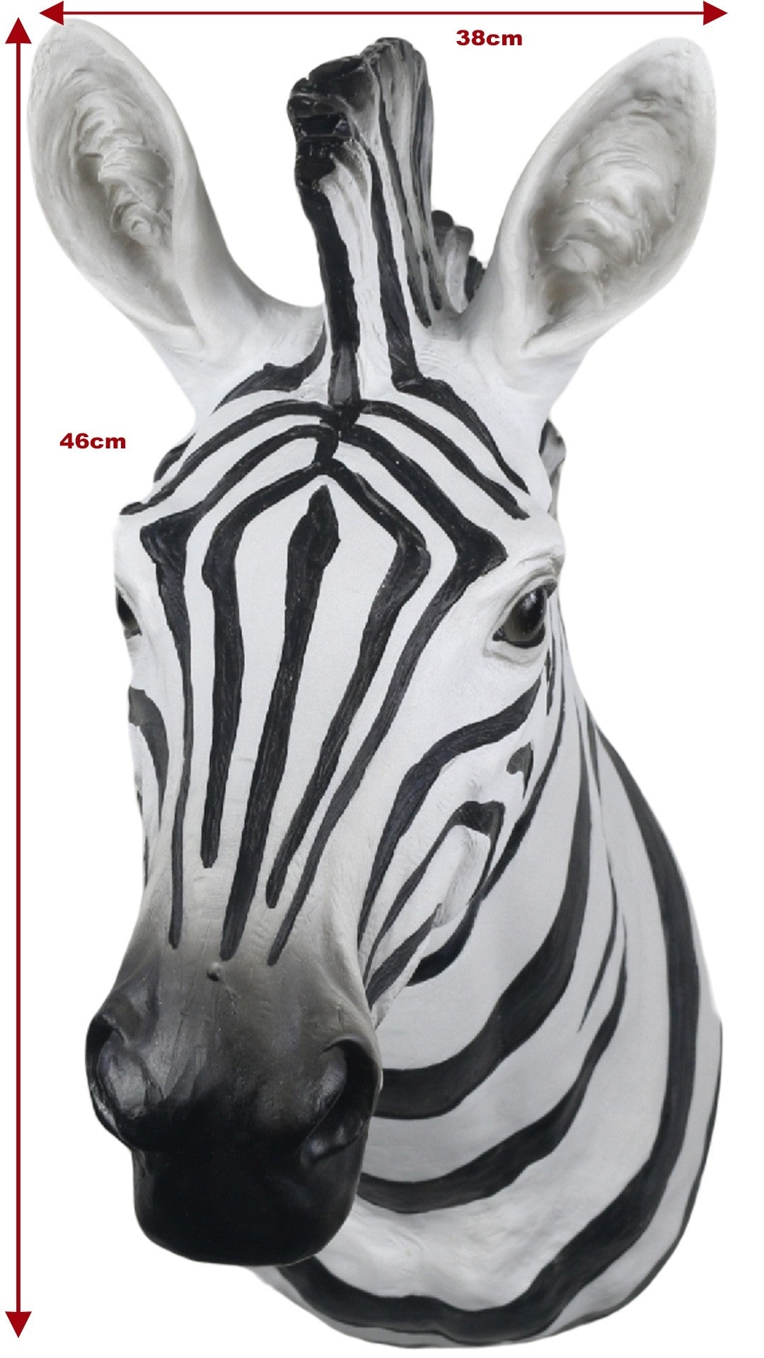Black and White Zebra Wall Head