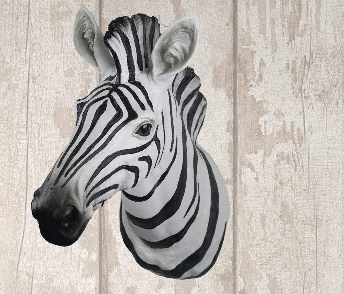 Black and White Zebra Wall Head