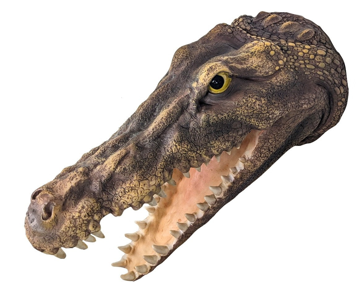 Crocodile Wall Head