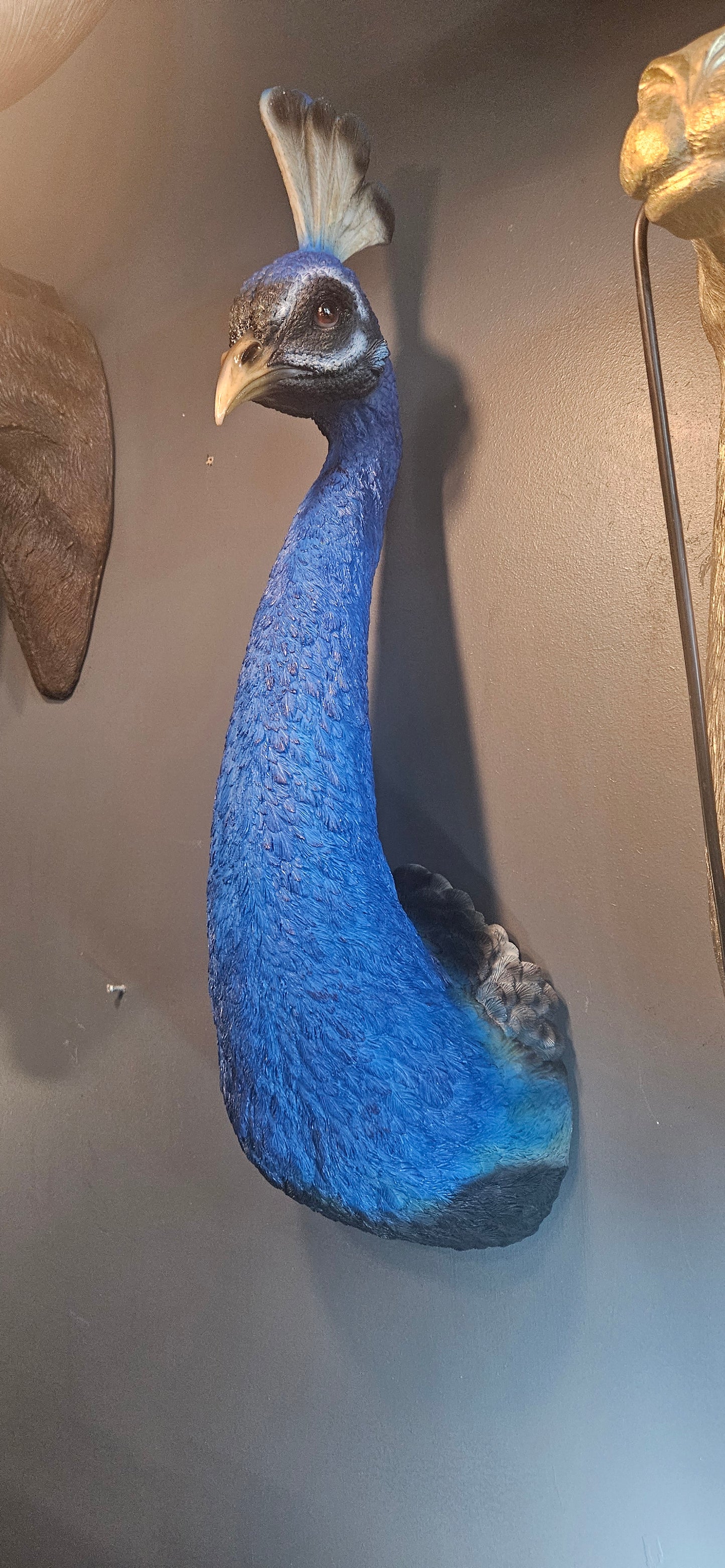 Peacock Wall Head