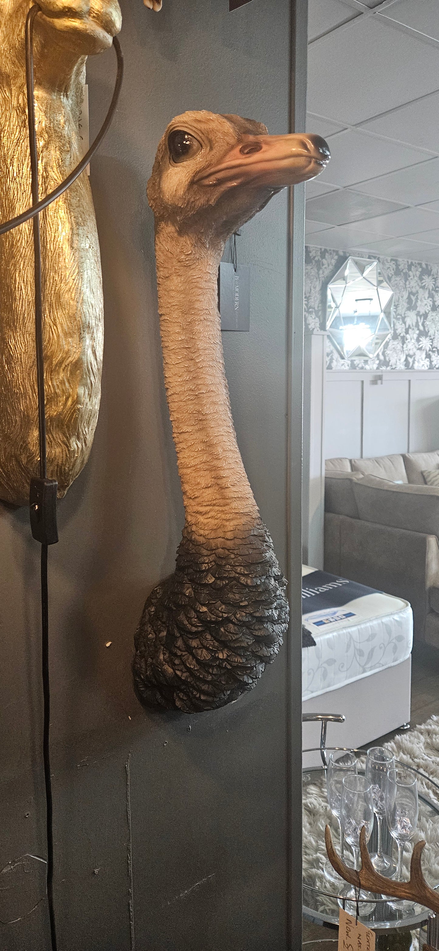 Ostrich Head