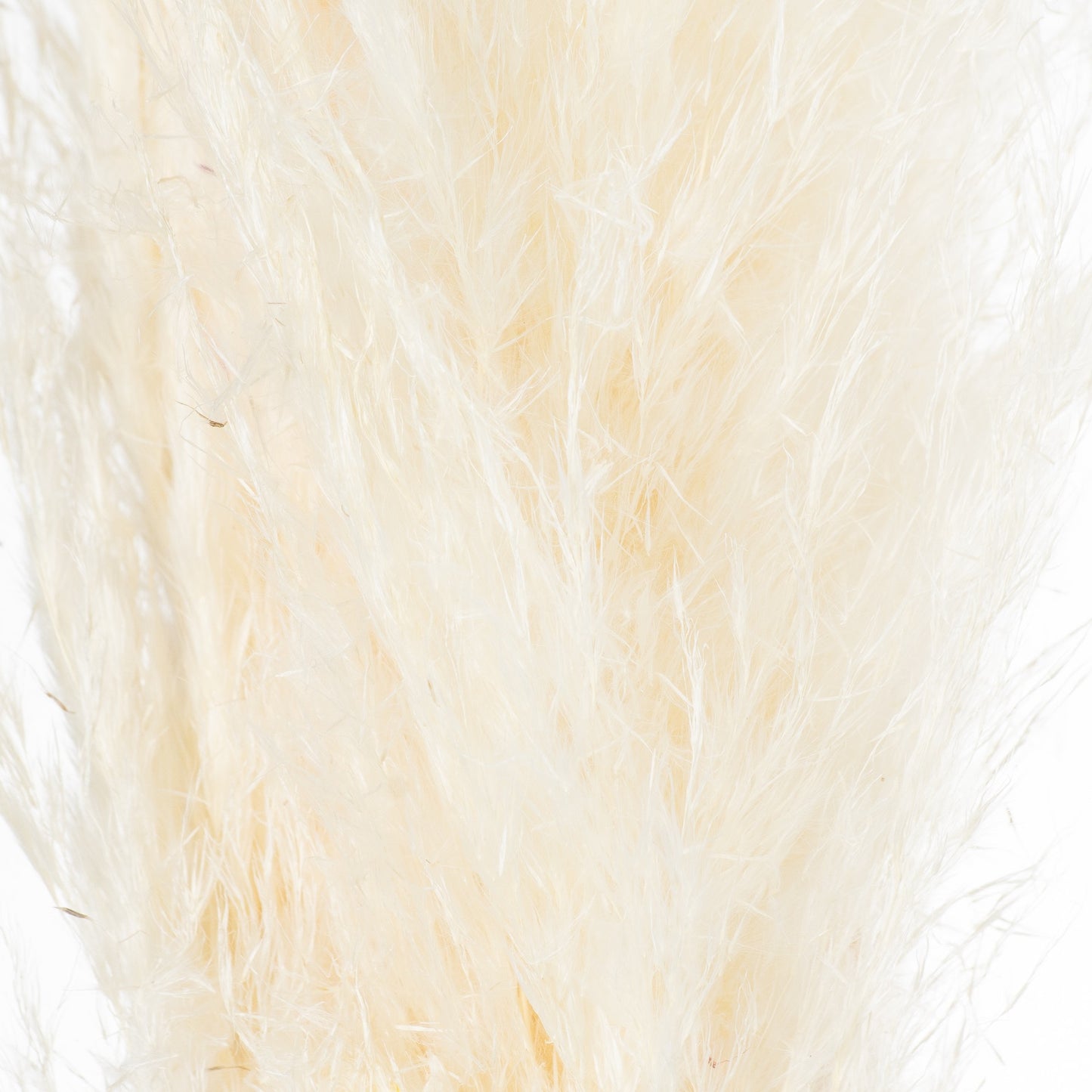 Cream 120cm Pampas Grass Stem