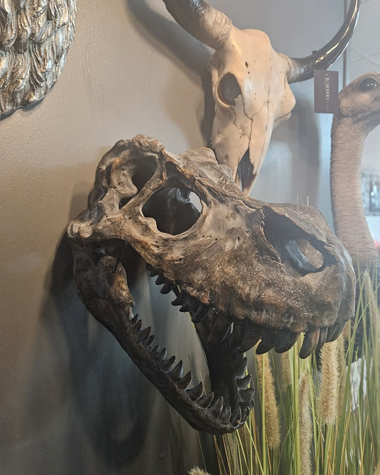 T-Rex Skull Head