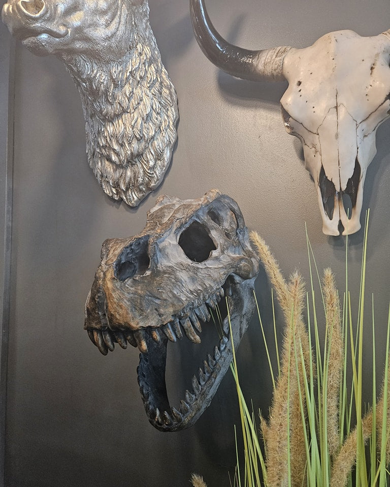 T-Rex Skull Head