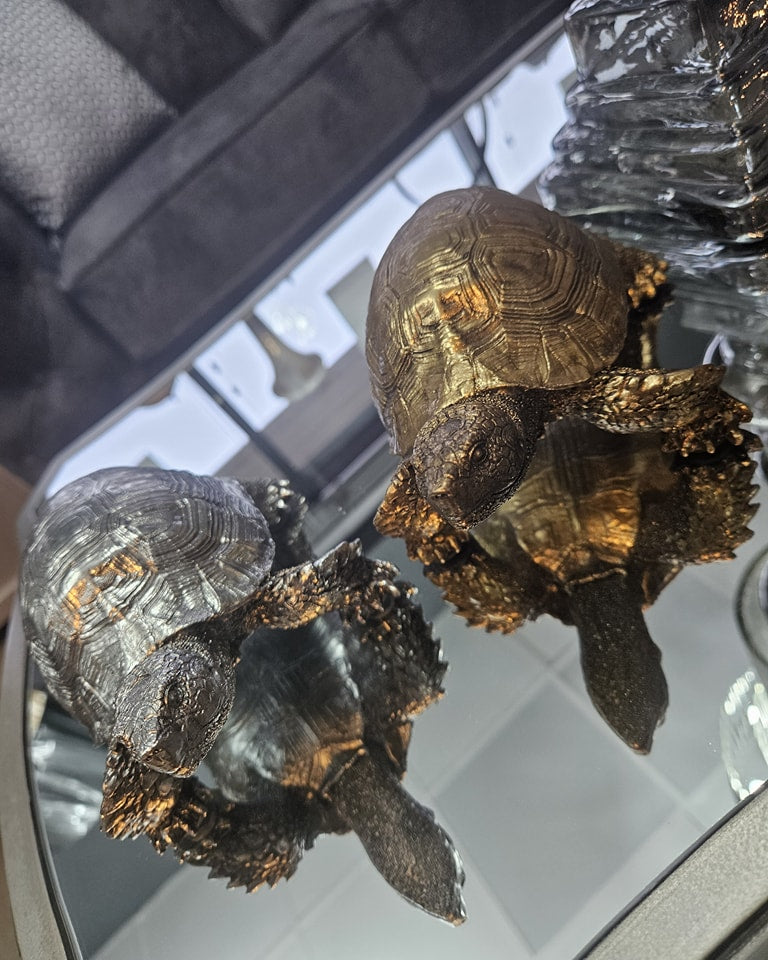 Silver Tortoise Ornament