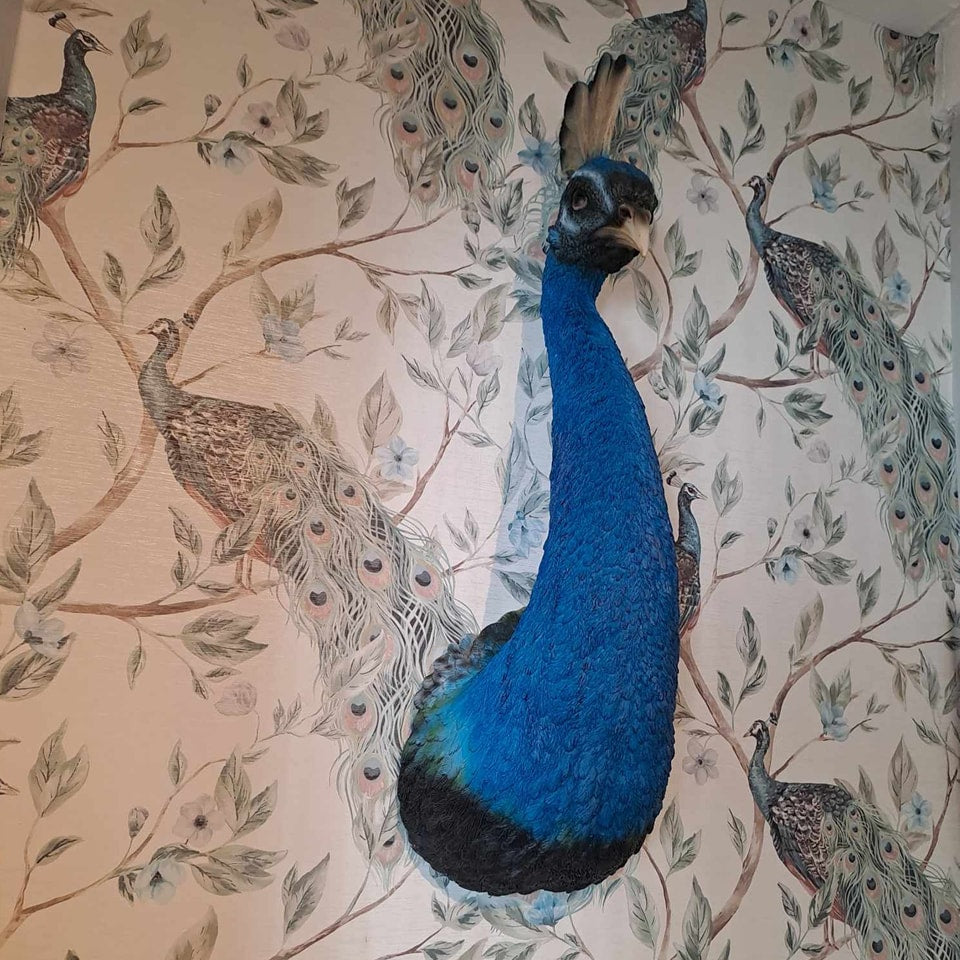 Peacock Wall Head