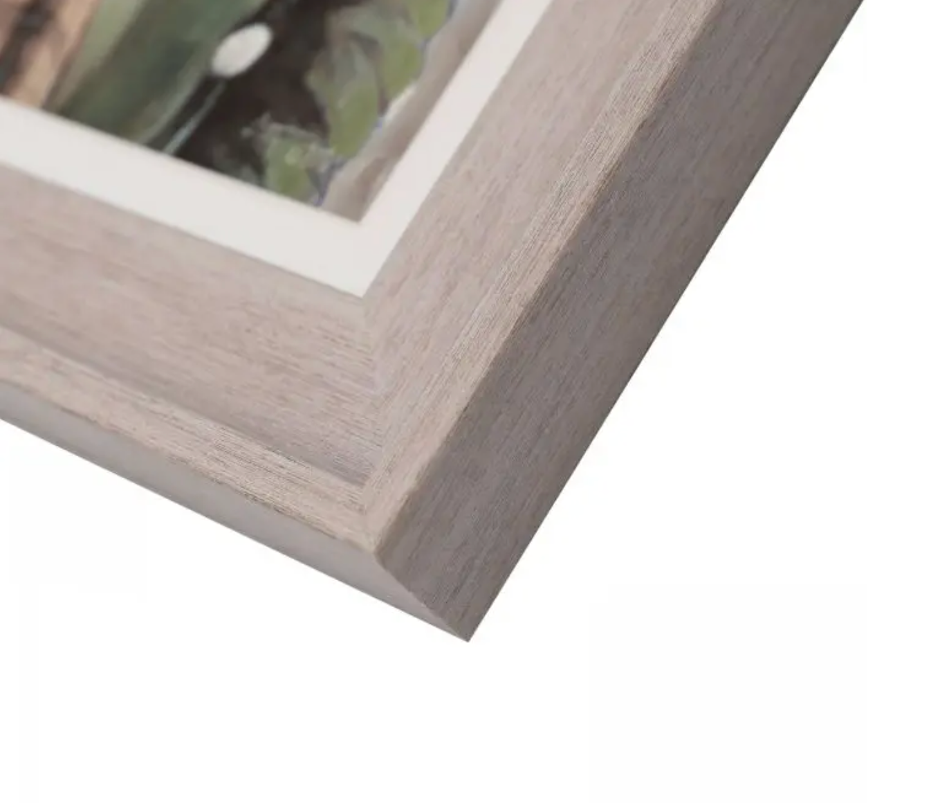 Furry Duo Framed Canvas Set
