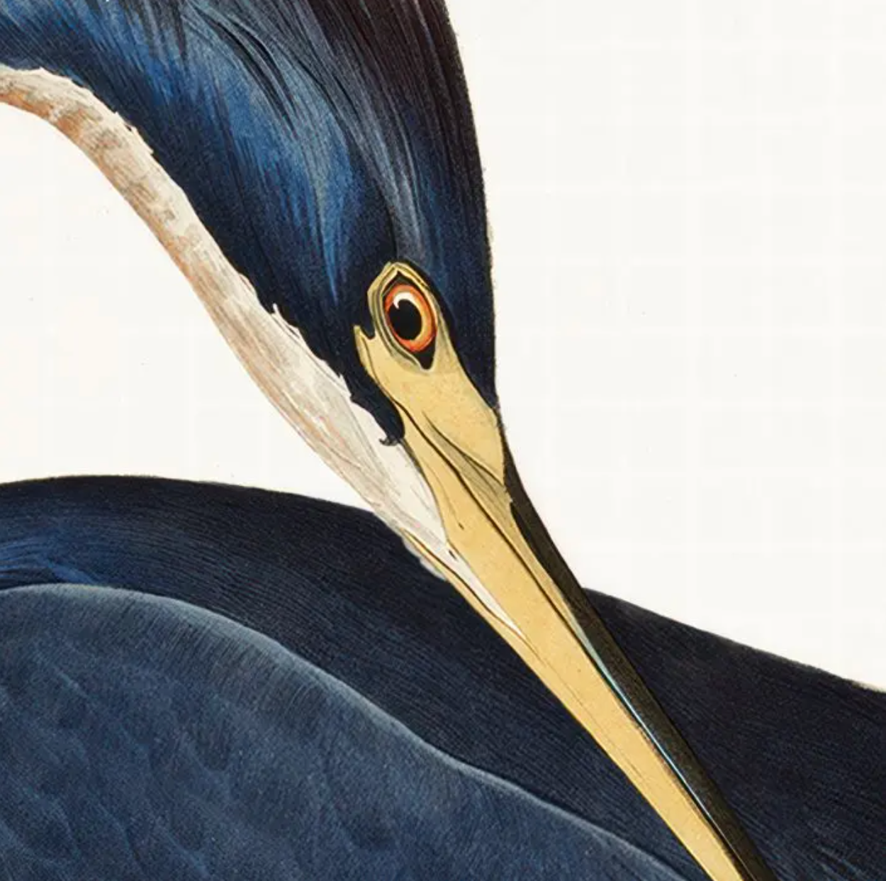 Blue Heron Framed Wall Art