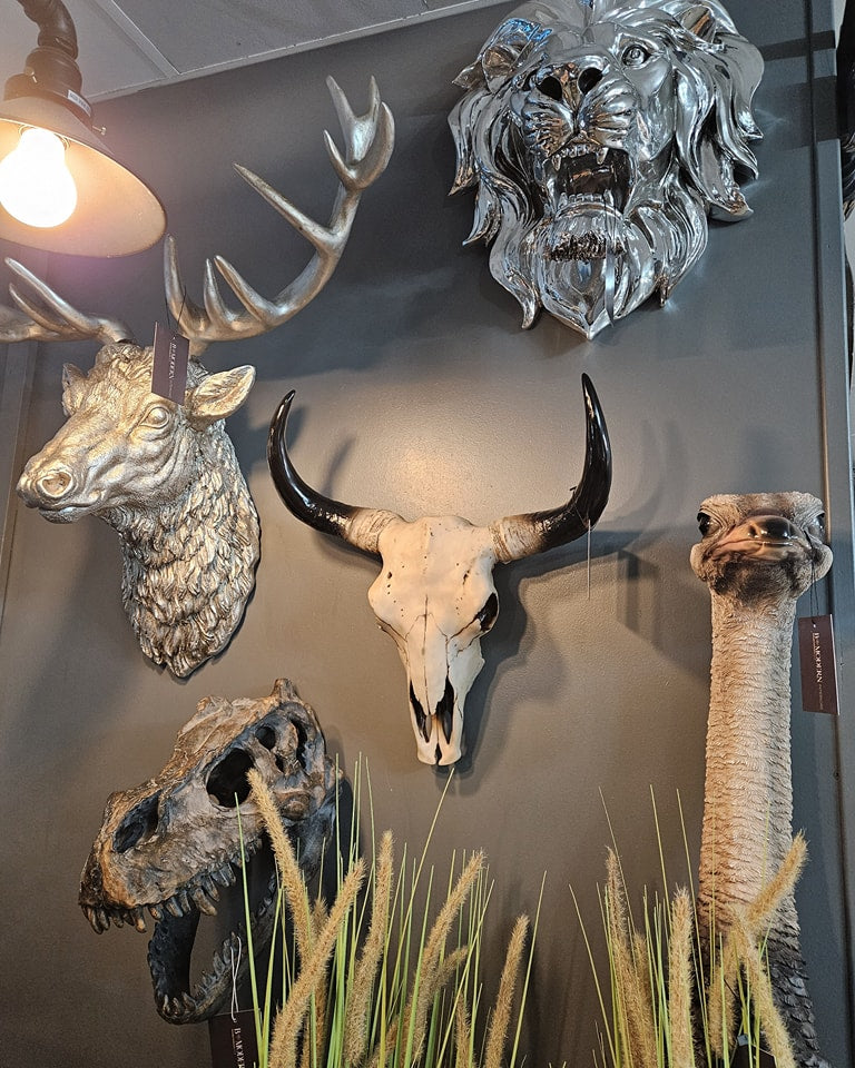 T-Rex Skull Head