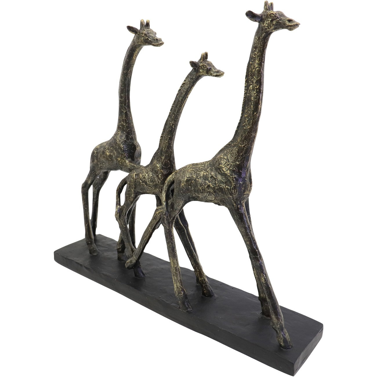 Family of Giraffes
