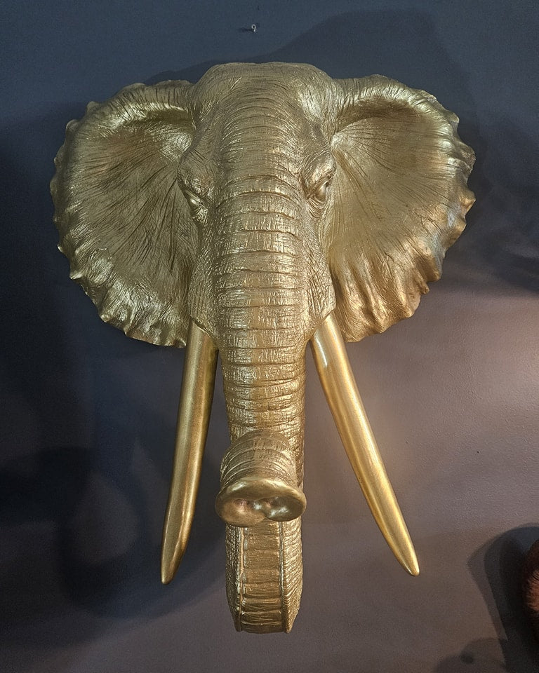 XL Elephant Head