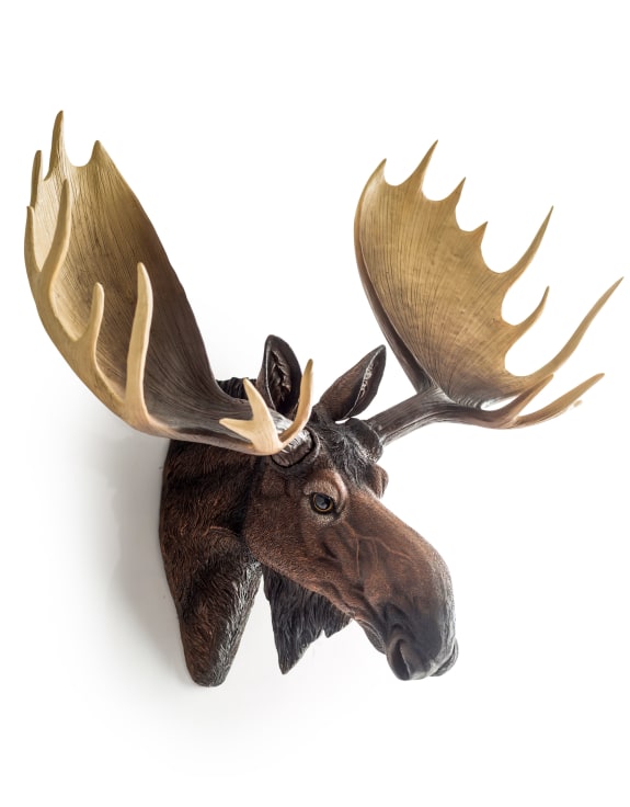 Moose Head