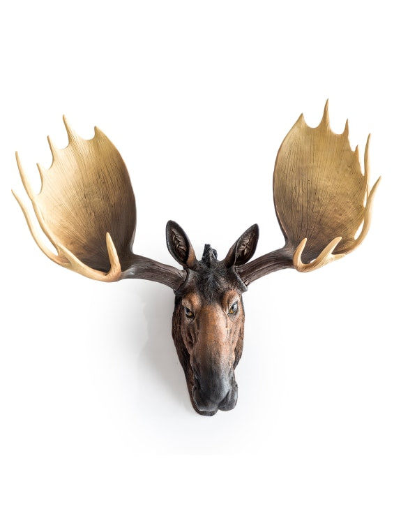 Moose Head