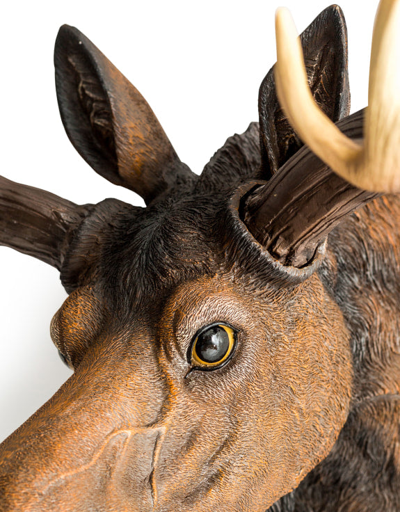 Moose Head