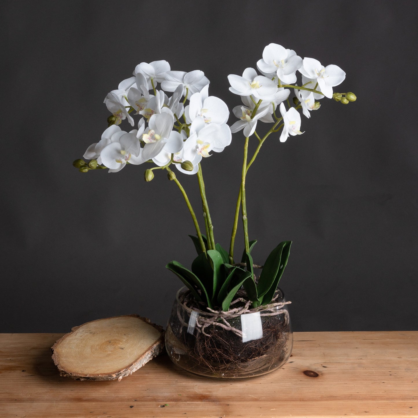 White Orchid in Glass Vase