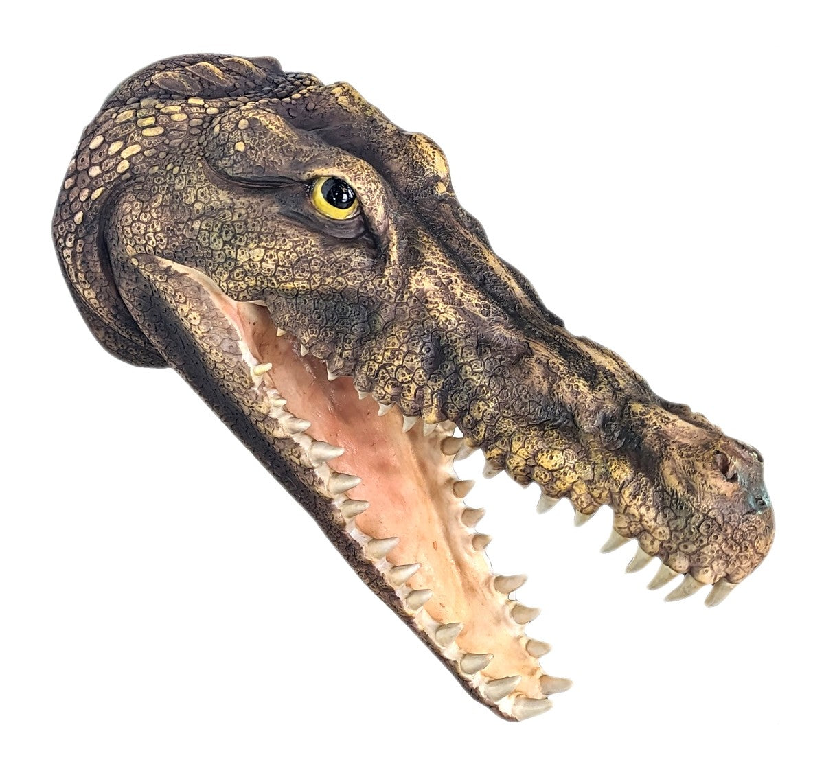 Crocodile Wall Head