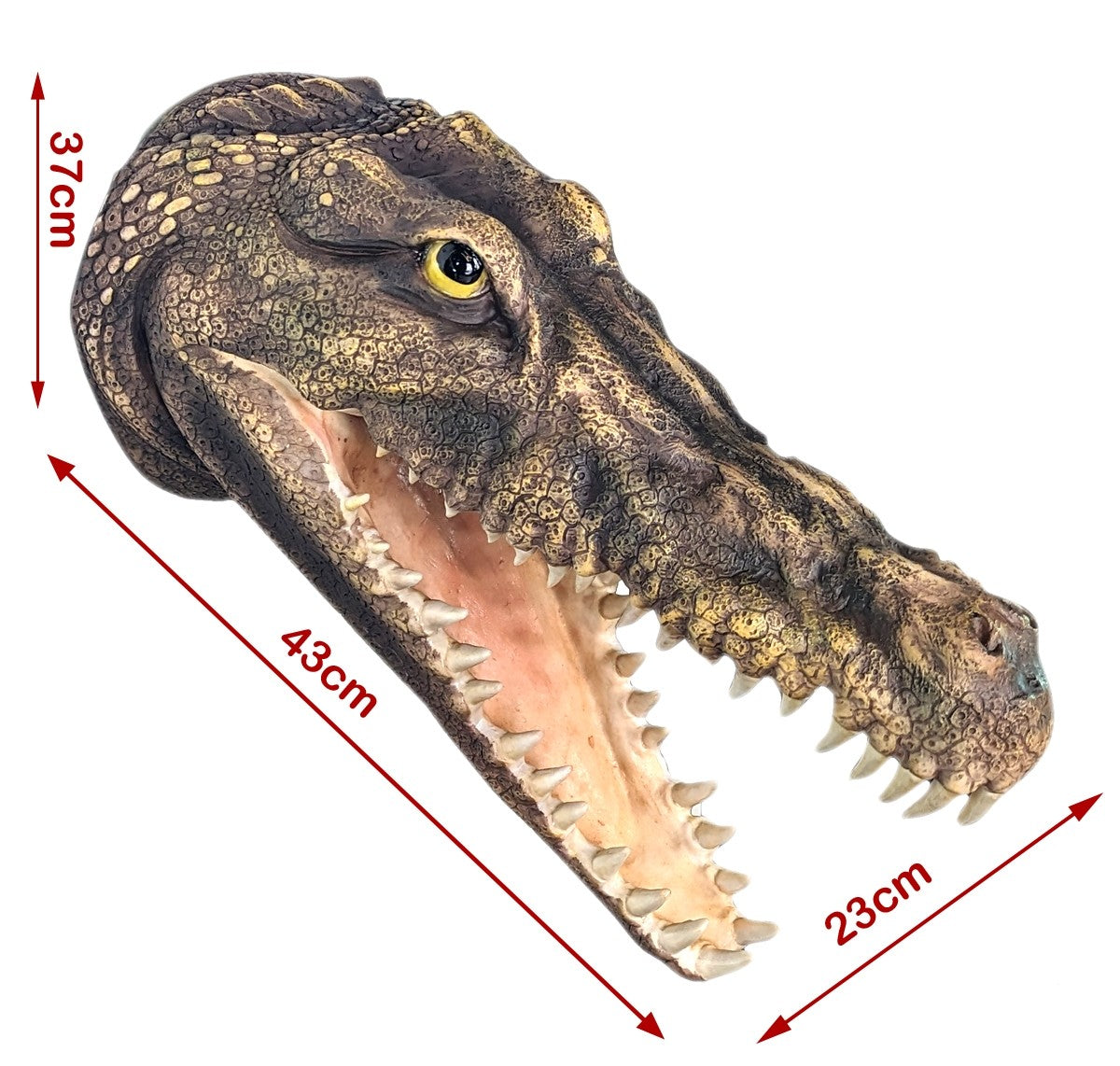 Crocodile Wall Head