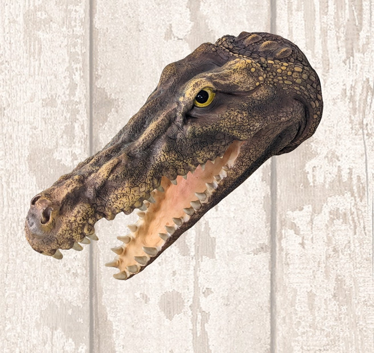 Crocodile Wall Head