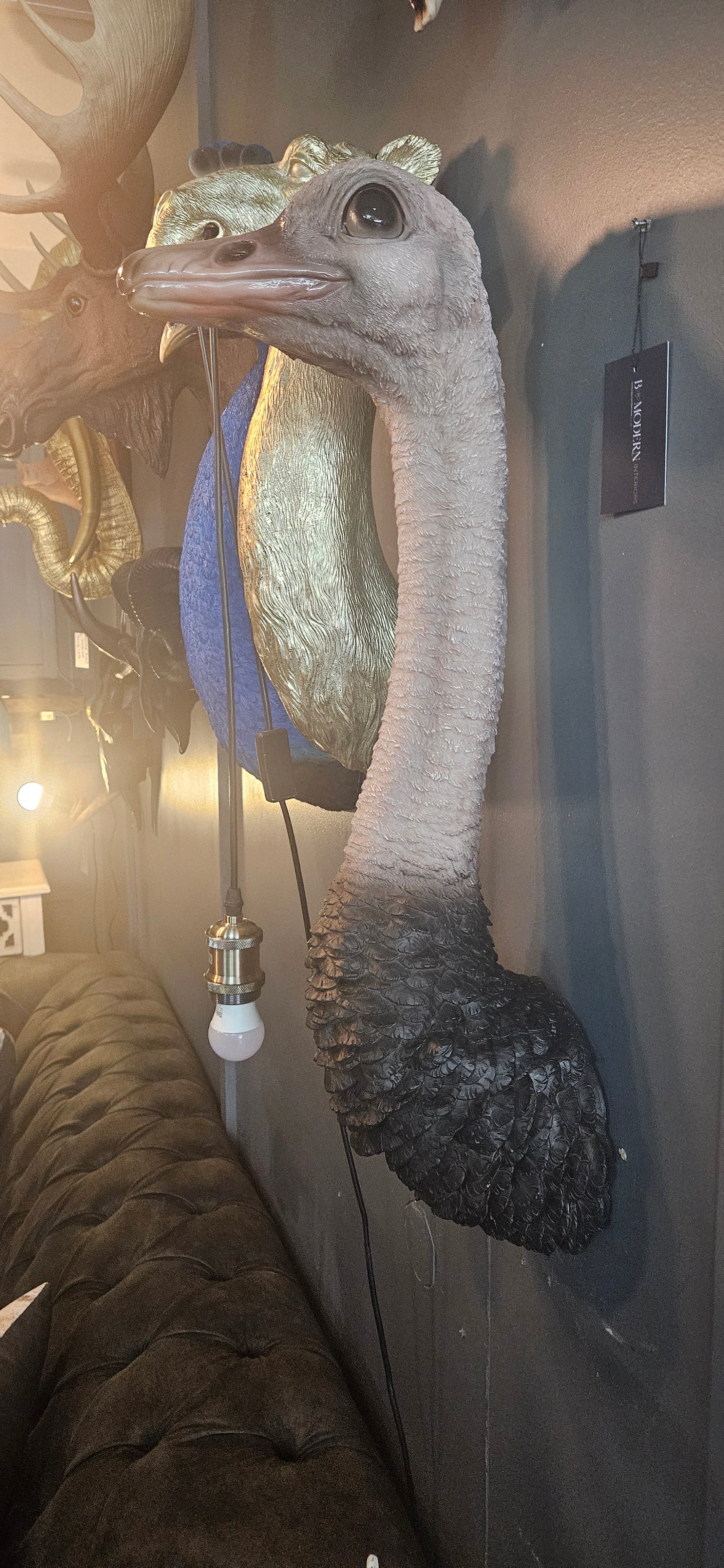 Ostrich Head