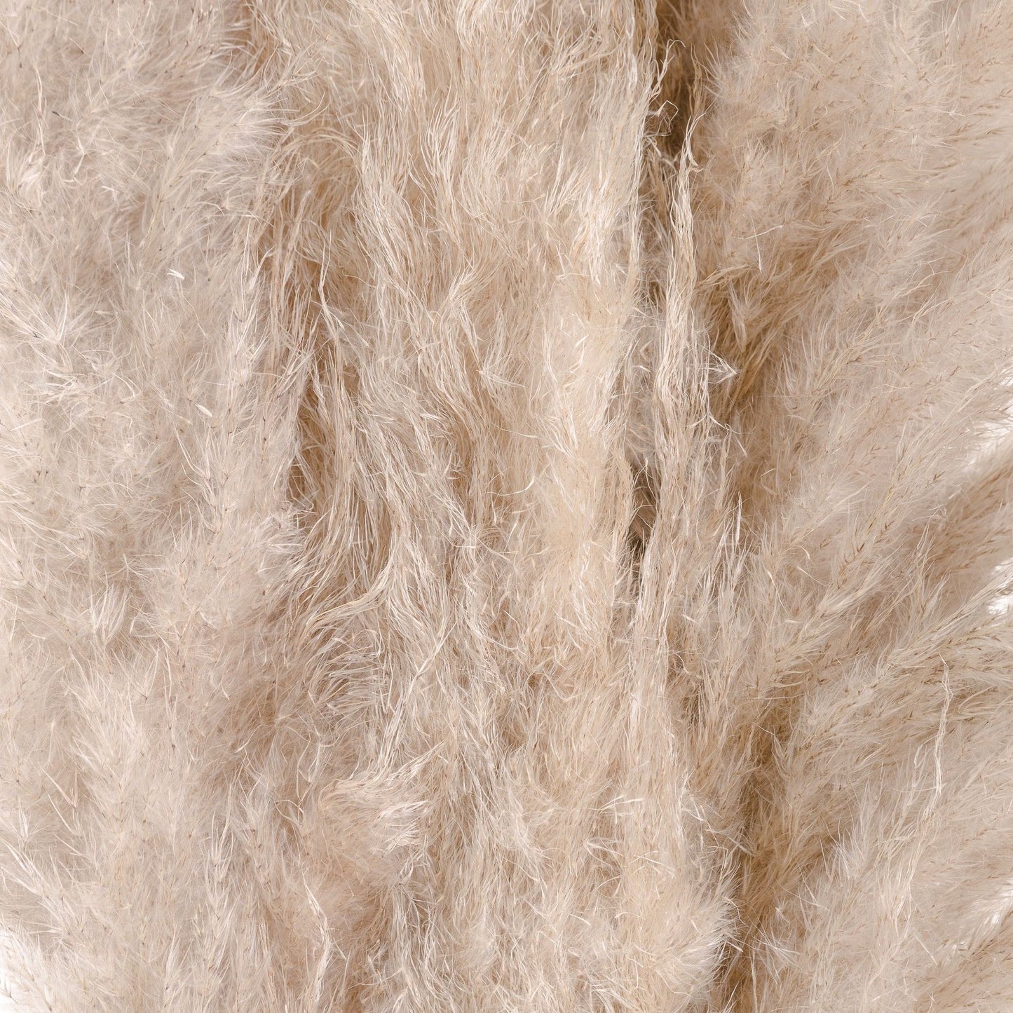Cream Pampas Grass Stem