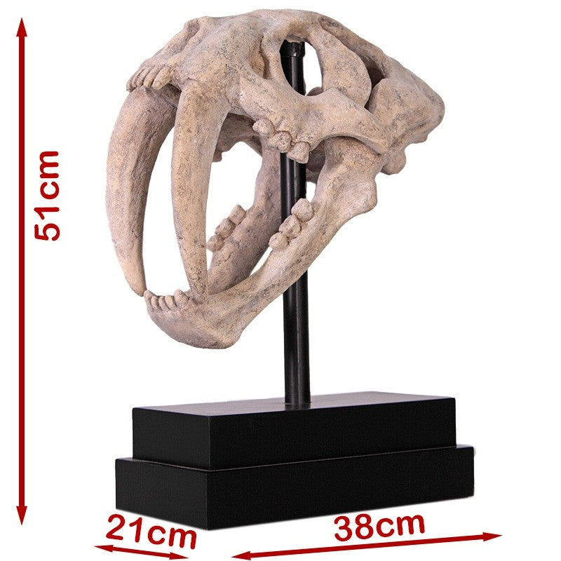 Saber Toothed Tiger Skull on Base