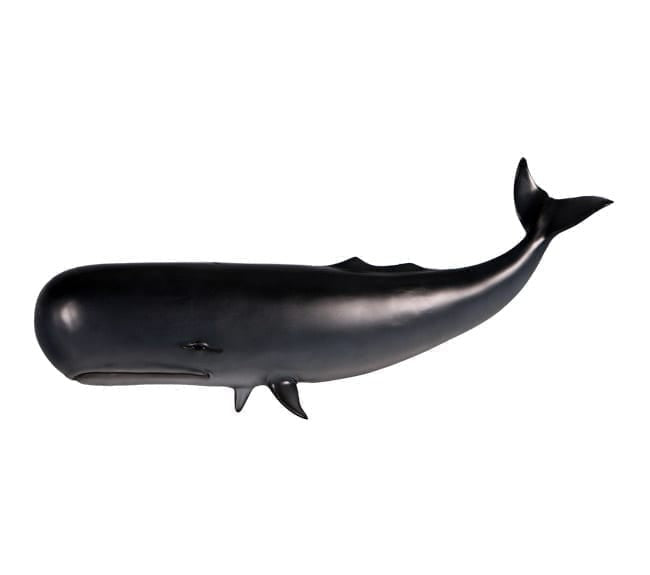 Whale Wall Decor