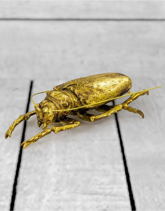 Large Gold Beetle Wall Decor