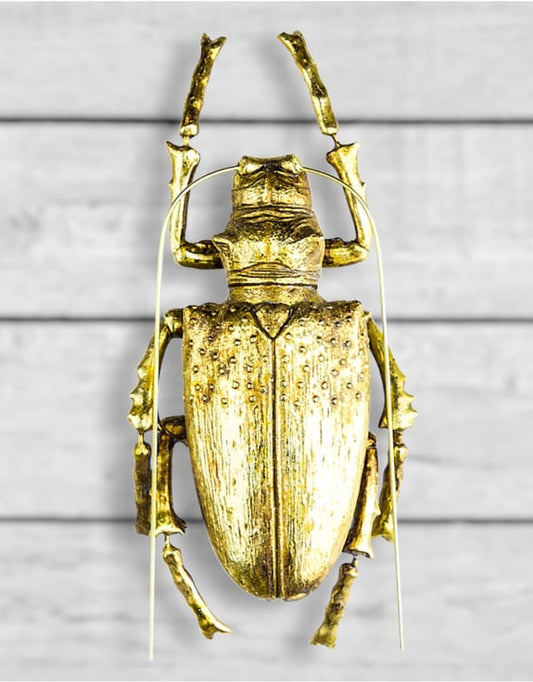 Large Gold Beetle Wall Decor
