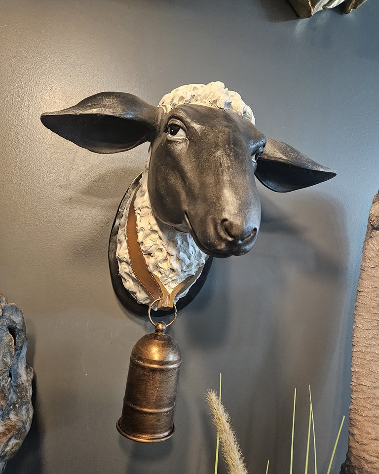Sheep Wall Head