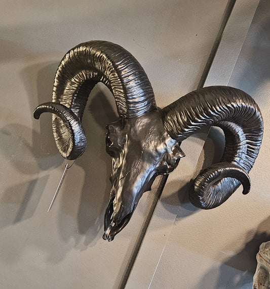 Matt Black Ram Skull Head