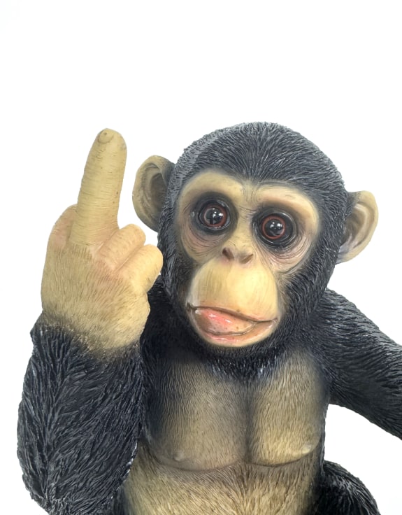 Up Yours Monkey Bottle Holder