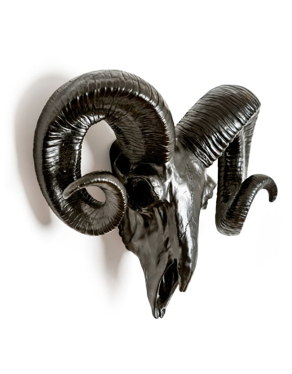 Matt Black Ram Skull Head
