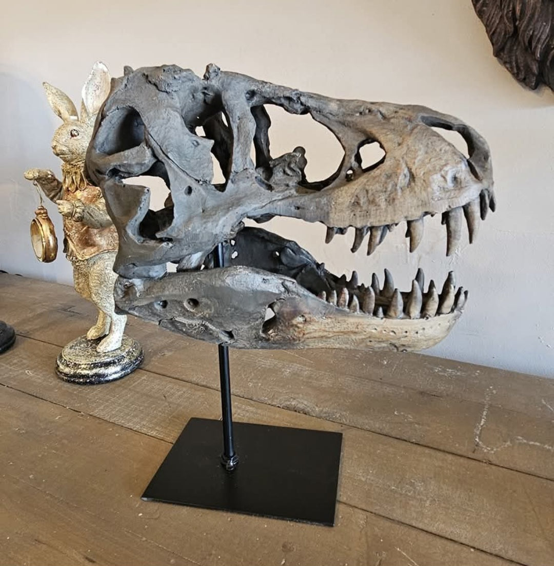 T-Rex Head on Stand