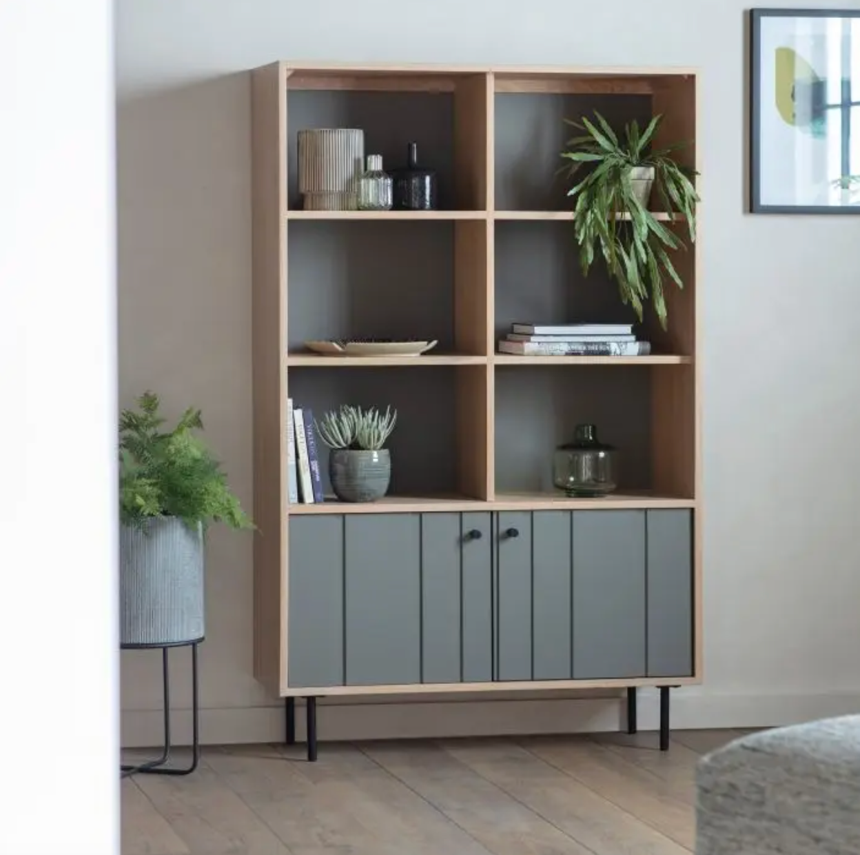 Japir Display Unit