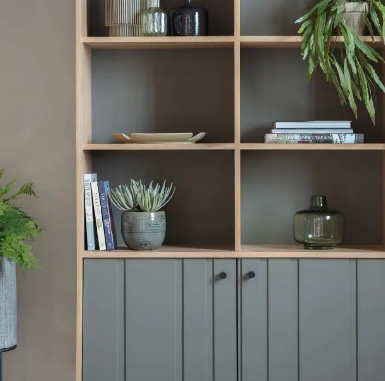 Japir Display Unit
