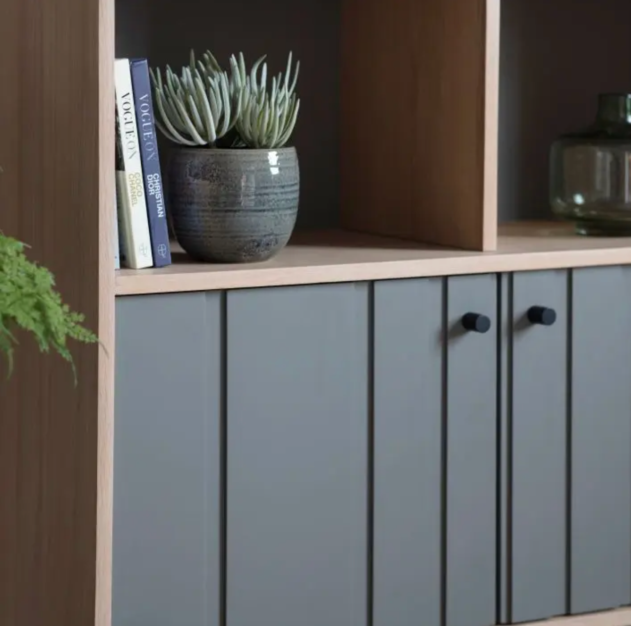 Japir Display Unit