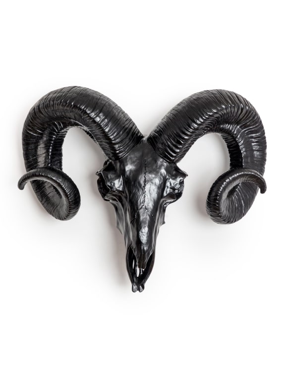 Matt Black Ram Skull Head