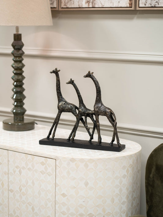 Family of Giraffes