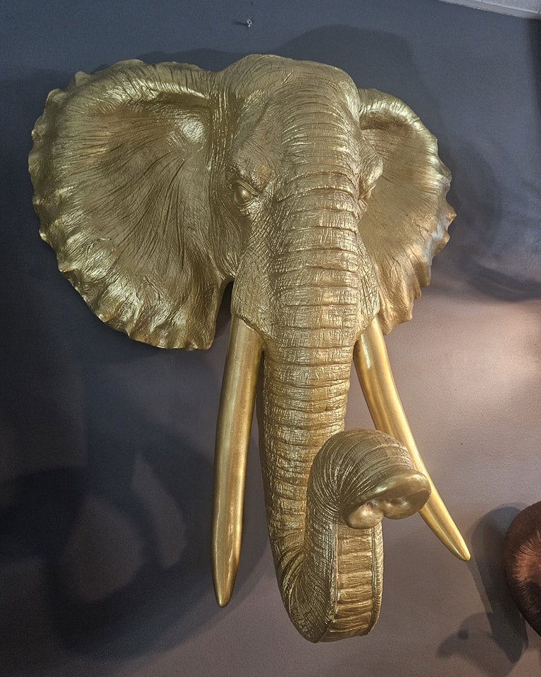 XL Elephant Head